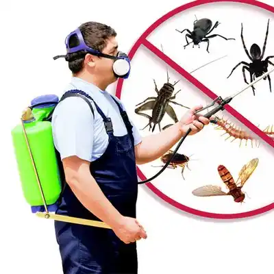 pest control Lincoln Heights